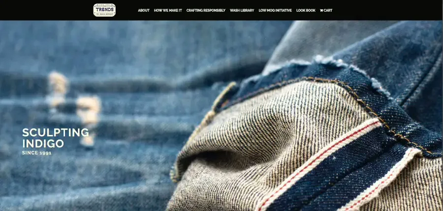 Trends Jeans