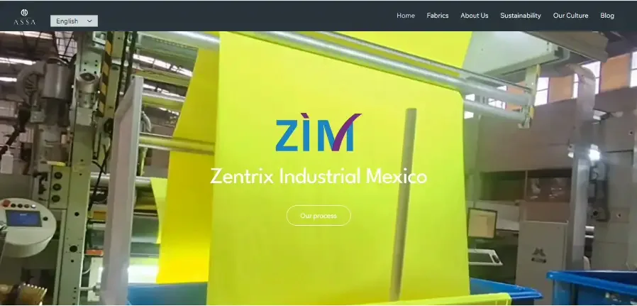 Zentrix Industrial Mexico (ZIM) 