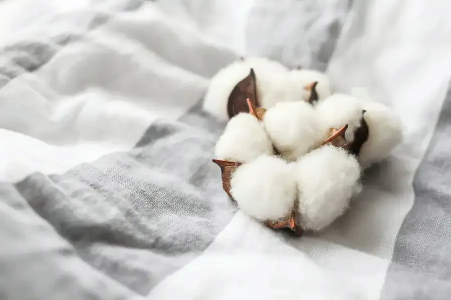 Carded Cotton