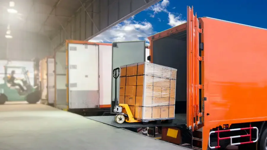 Apparel-Specialized Freight Forwarder